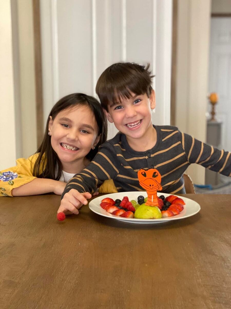 Fruit Turkey Thanksgiving Appetizer 11 thanksgiving fruit turkey 2023