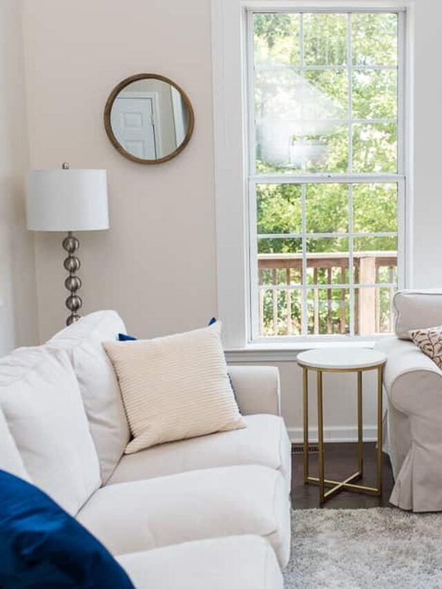 cropped-Neutral-living-room-couch-and-decor.jpg