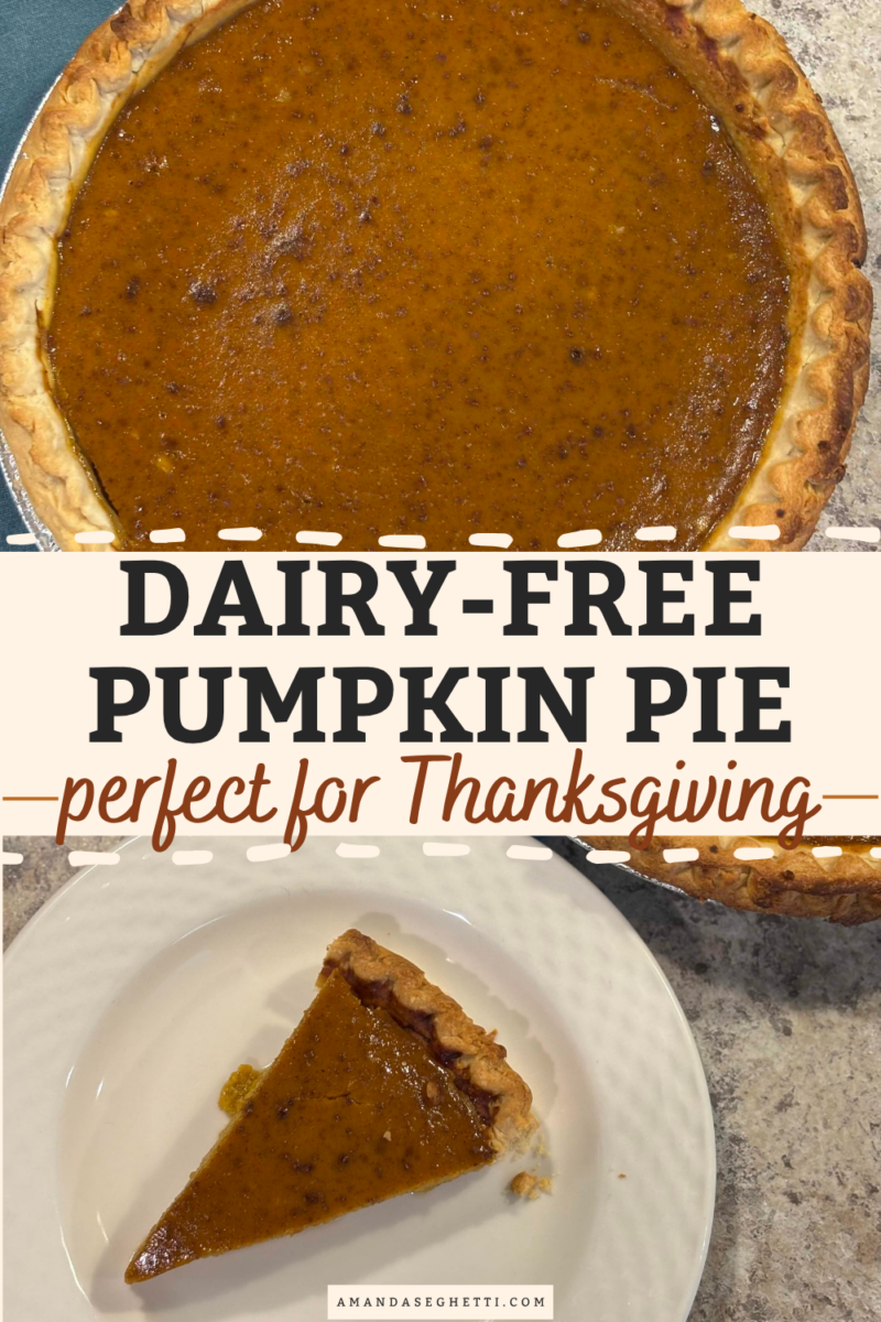 Easy Dairy Free Pumpkin Pie | Thanksgiving Recipe 5 Easy Dairy-Free Pumpkin Pie with Coconut Milk