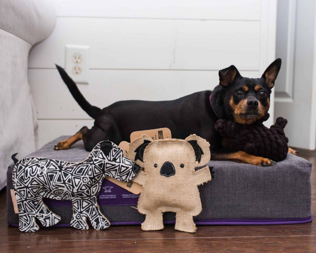 Eco-friendly Gift Ideas for 2021 | Sustainable + Mindful 21 outback tails ecofriendly gifts for dogs