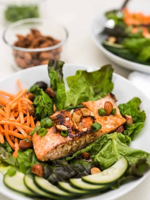 cropped-plates-of-asian-salmon-salad-SQUARE.jpg