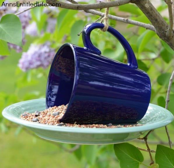 12 Easy DIY Bird Feeders to Make Today Amanda Seghetti