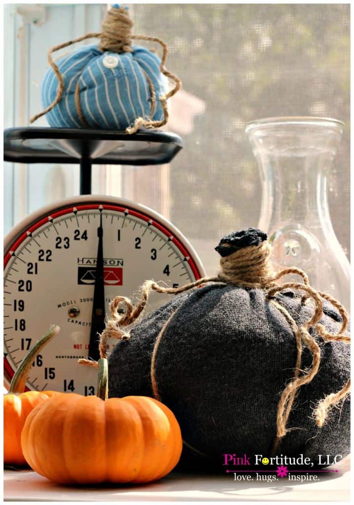 Shirt Pumpkins 7 - Amanda Seghetti