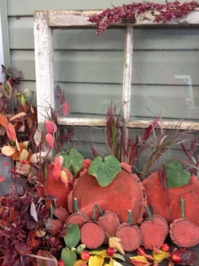 5 Easy DIY Fall Decor Ideas