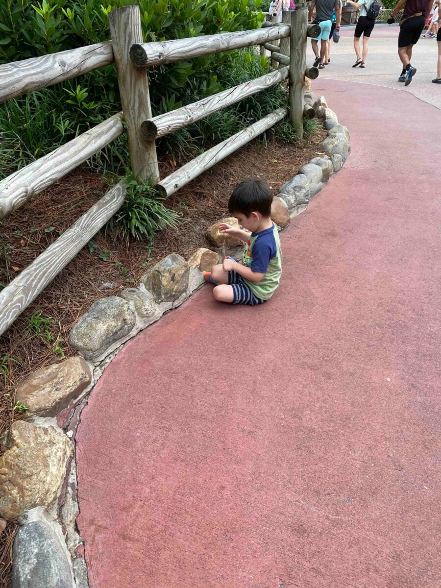 Why We Stopped Eating Artificial Food Dyes (And What Happened) 1 little boy sitting on the ground next to rocks at Walt Disney World
