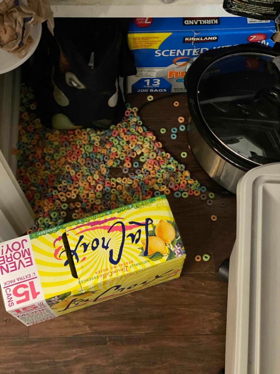 Why We Stopped Eating Artificial Food Dyes (And What Happened) 6 fruit loop mess on pantry floor